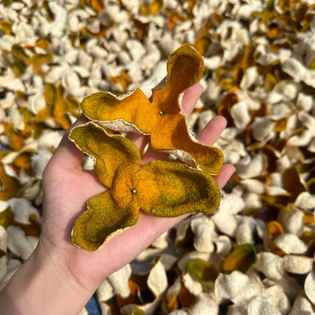 阿丽陈皮【大份量链接】新会天马2025年二红皮生态种植圈枝皮8年树