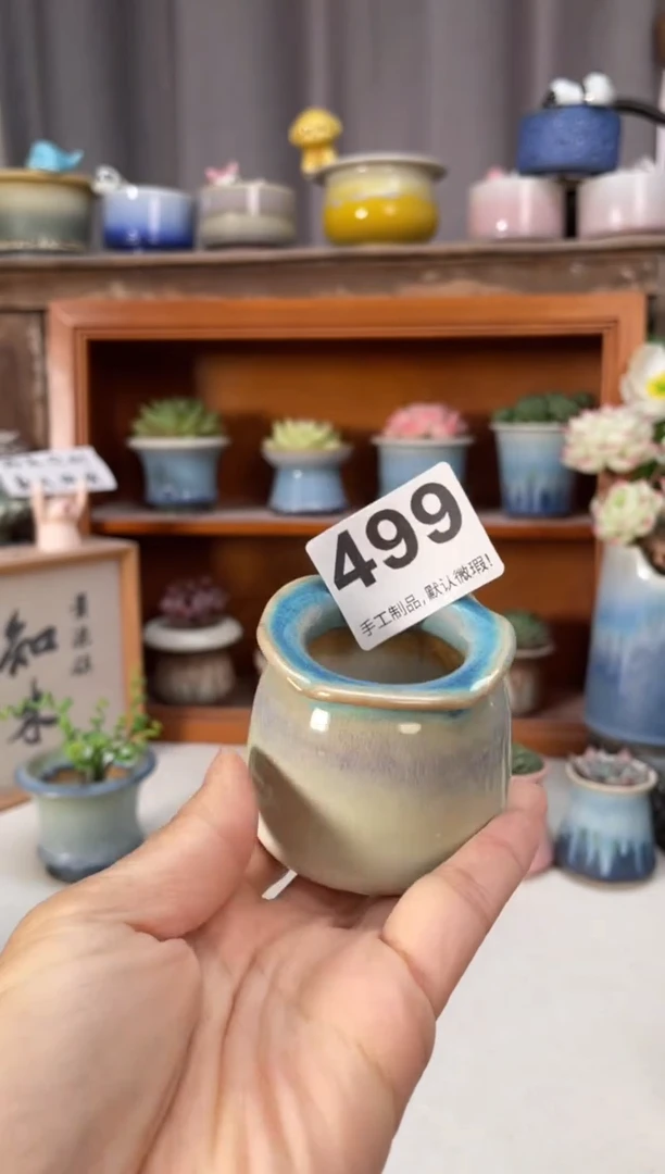 瓷片499小芳直播编号