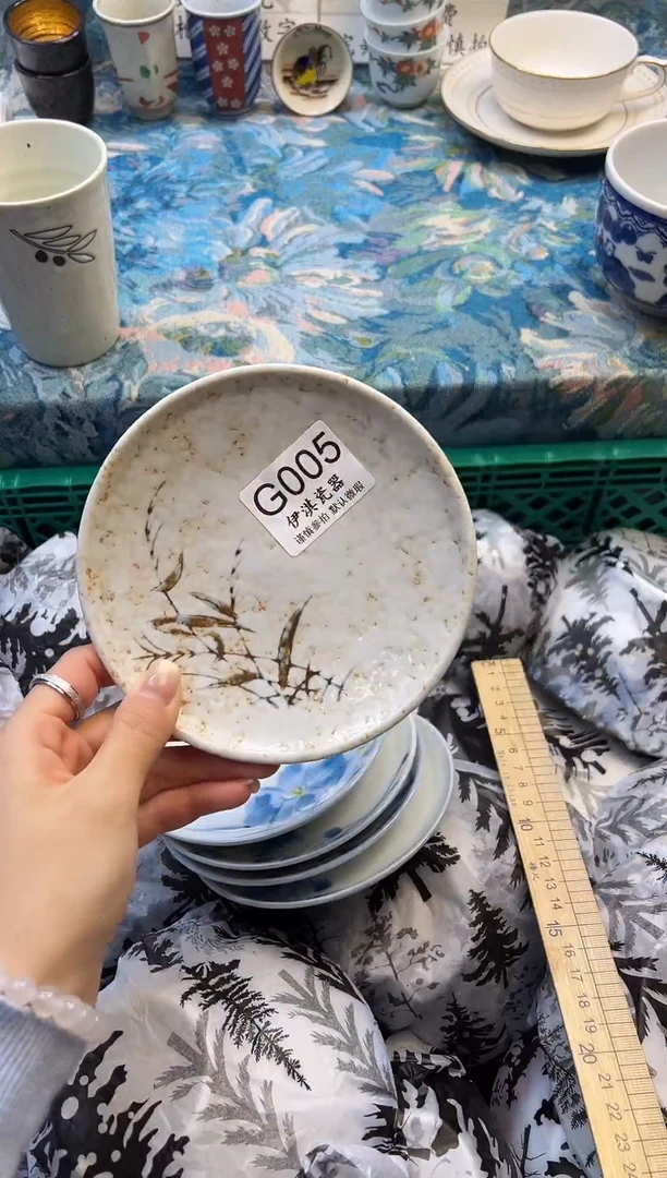 瓷片L****.           G005