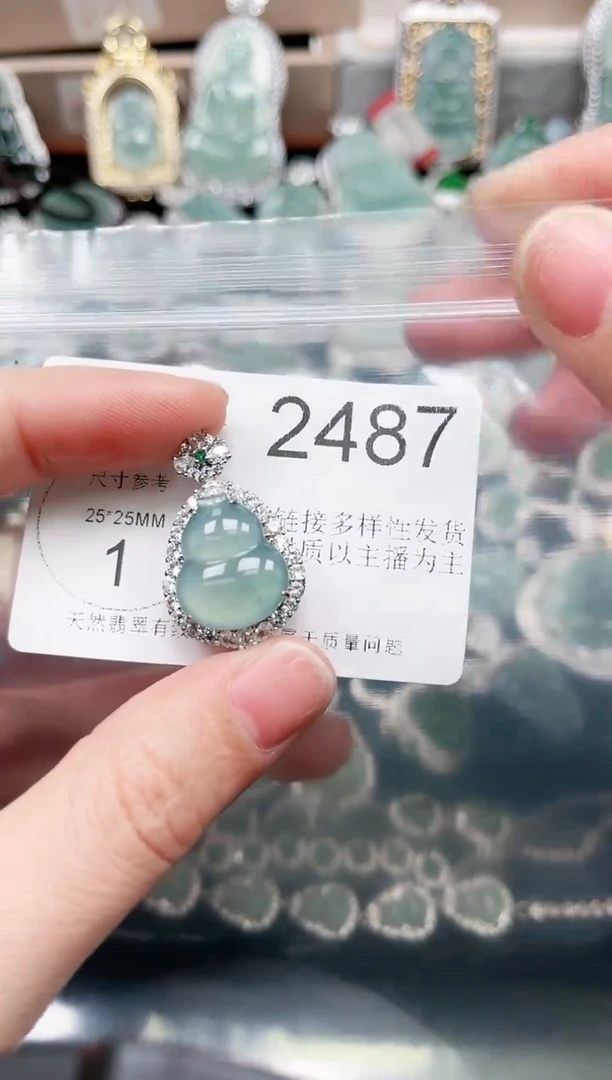【闪购商品】翡翠颈饰未镶嵌赠皮绳2487