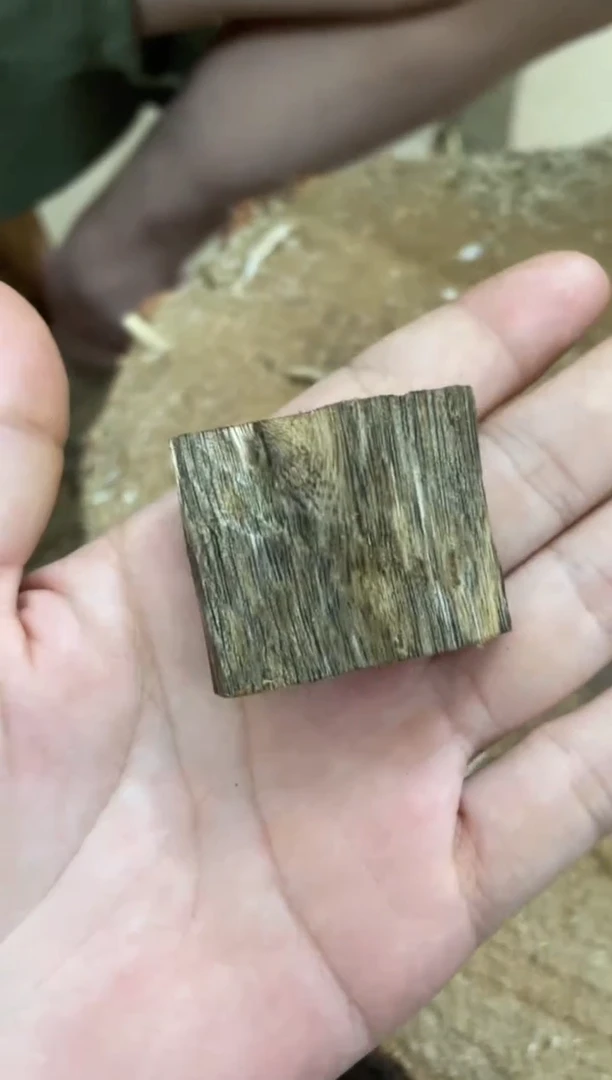 沉香碎屑沉香棋楠沉香 原料文创1