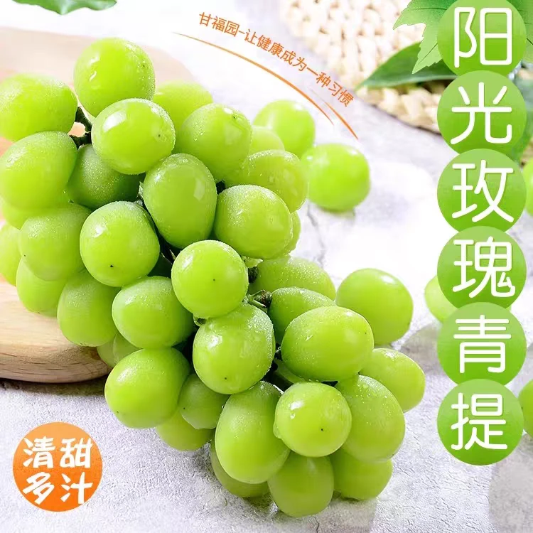 云南阳光玫瑰葡萄鲜果果脆甜青提无籽葡萄新鲜整箱包邮G云南省