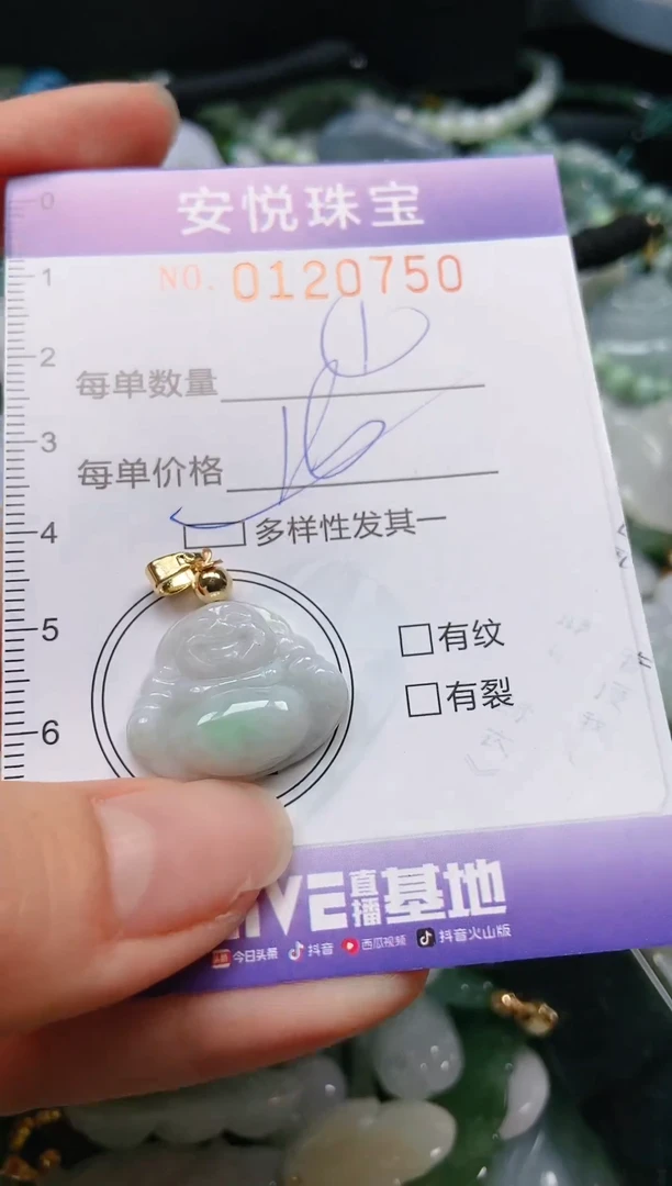 【闪购商品】翡翠颈饰未镶嵌闪购0120750多样性发其一