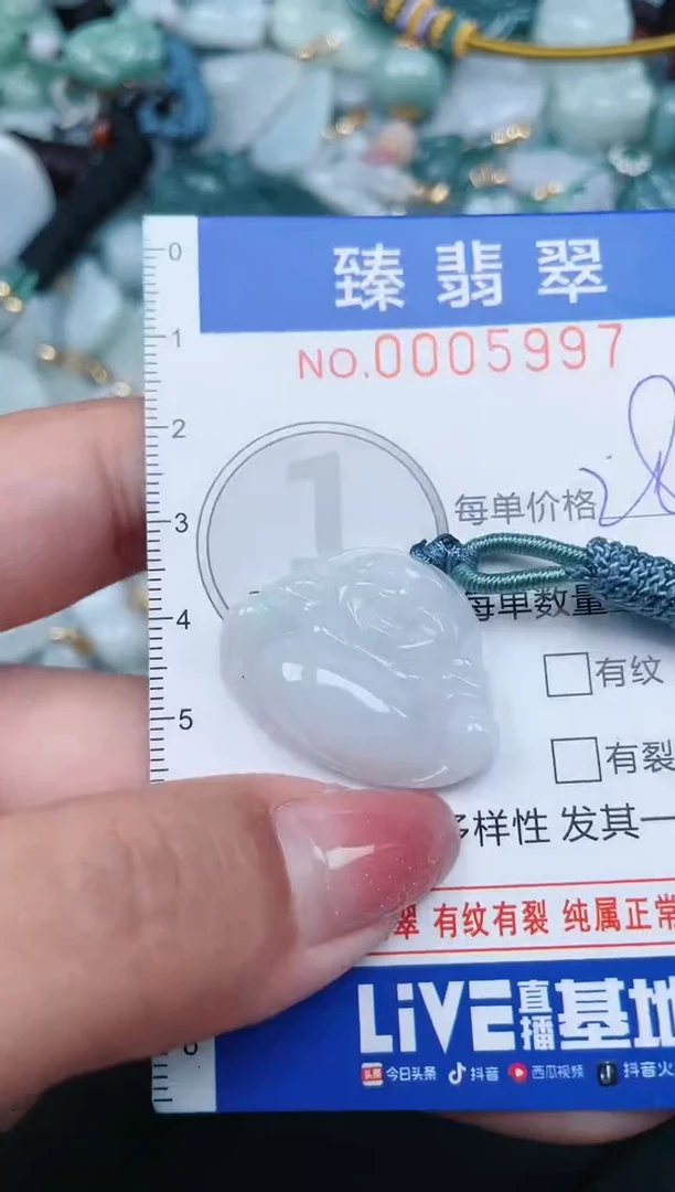 【闪购商品】翡翠颈饰未镶嵌.0005997