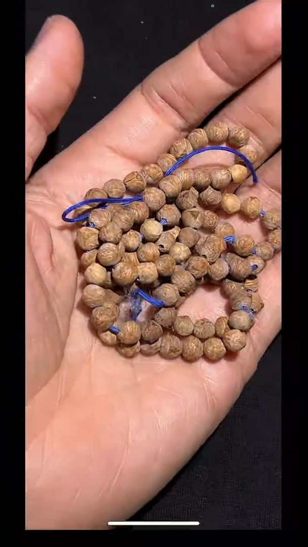 龙眼菩提手串pz608-73多样性发货发其一