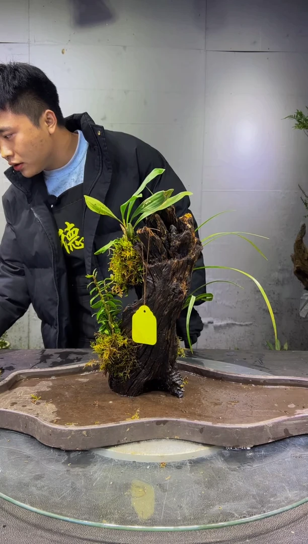 无花朵123455566666