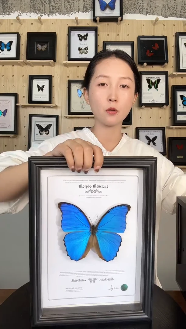 竖版大蓝闪蝶蝴蝶装饰画A4框