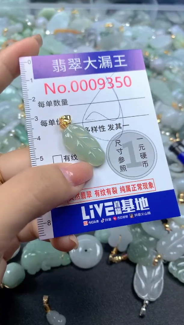 颈饰未镶嵌翡翠9350