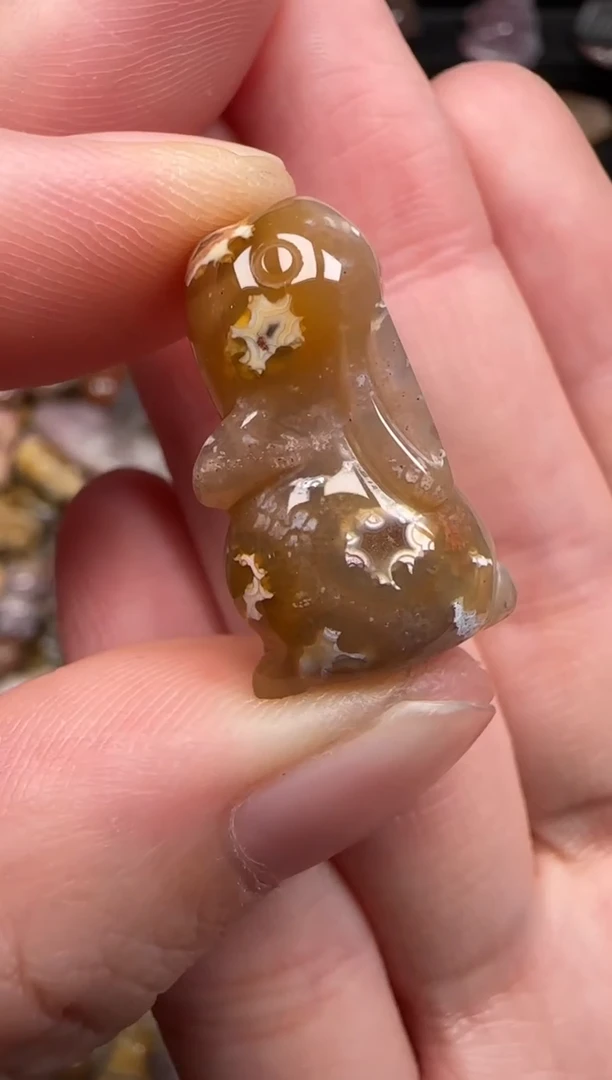 硅化珊瑚（珊瑚玉）未镶嵌颈饰060