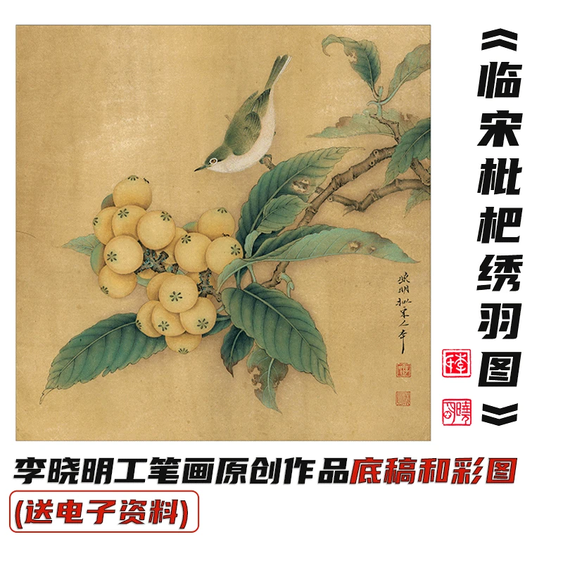 李晓明工笔画《临宋枇杷绣羽图》底稿和彩图（送电子步骤图和教程）