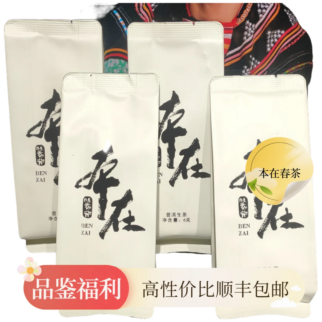 【本在】2025年 任我行 春茶 6g晒青茶（大叶种）散茶