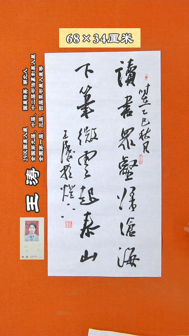 书法203R王涛书法作品