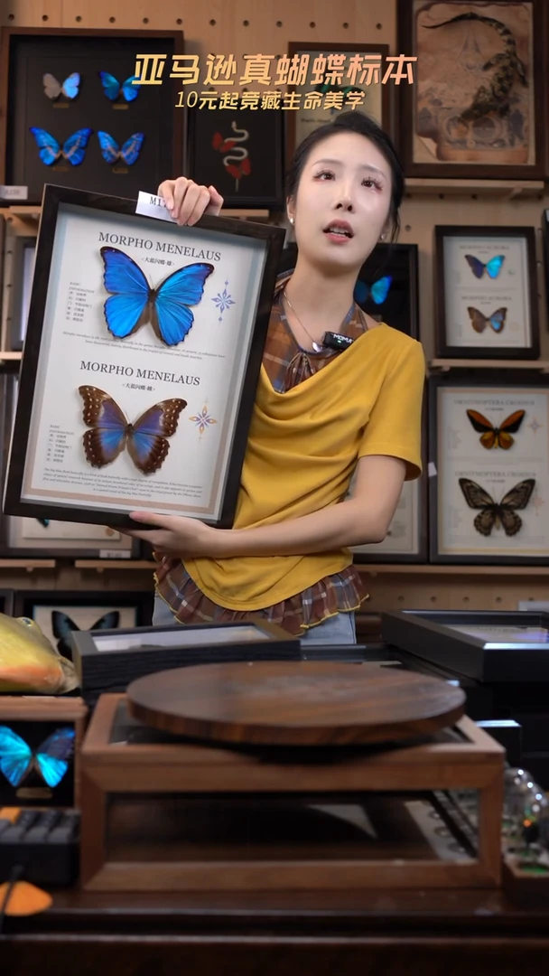 大蓝雌雄博物级别装裱收藏级