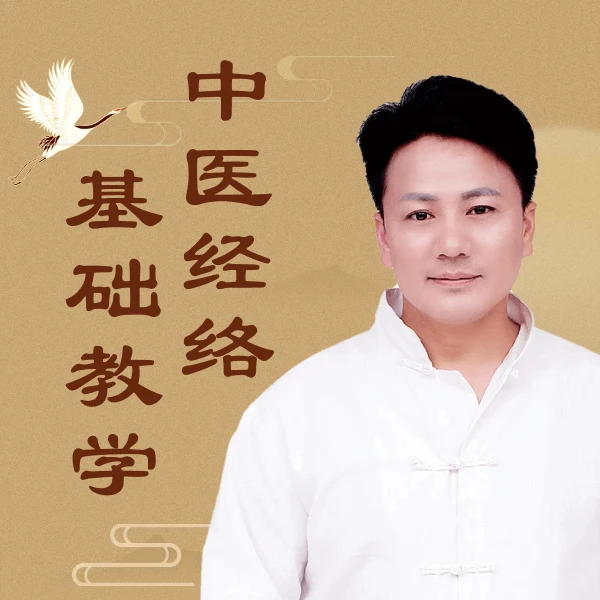 中医经络基础教学