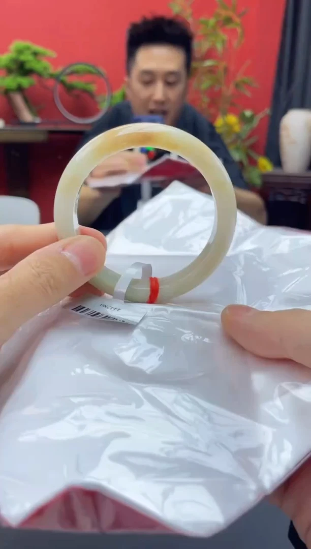 未镶嵌手镯翡翠5