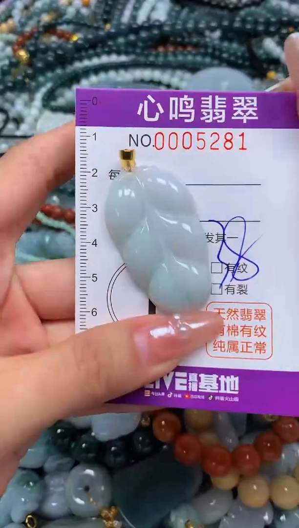 颈饰未镶嵌翡翠闪购005281