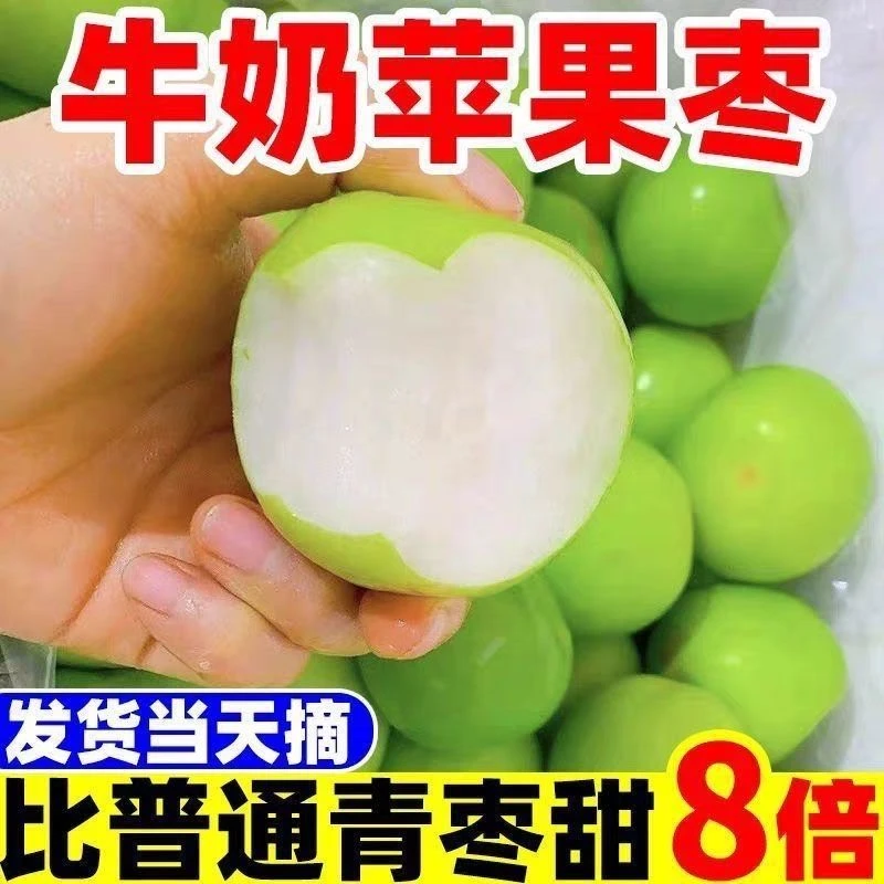 福建正宗贵妃牛奶大青枣当季新鲜现摘现发皮薄清脆甜水果多汁包邮