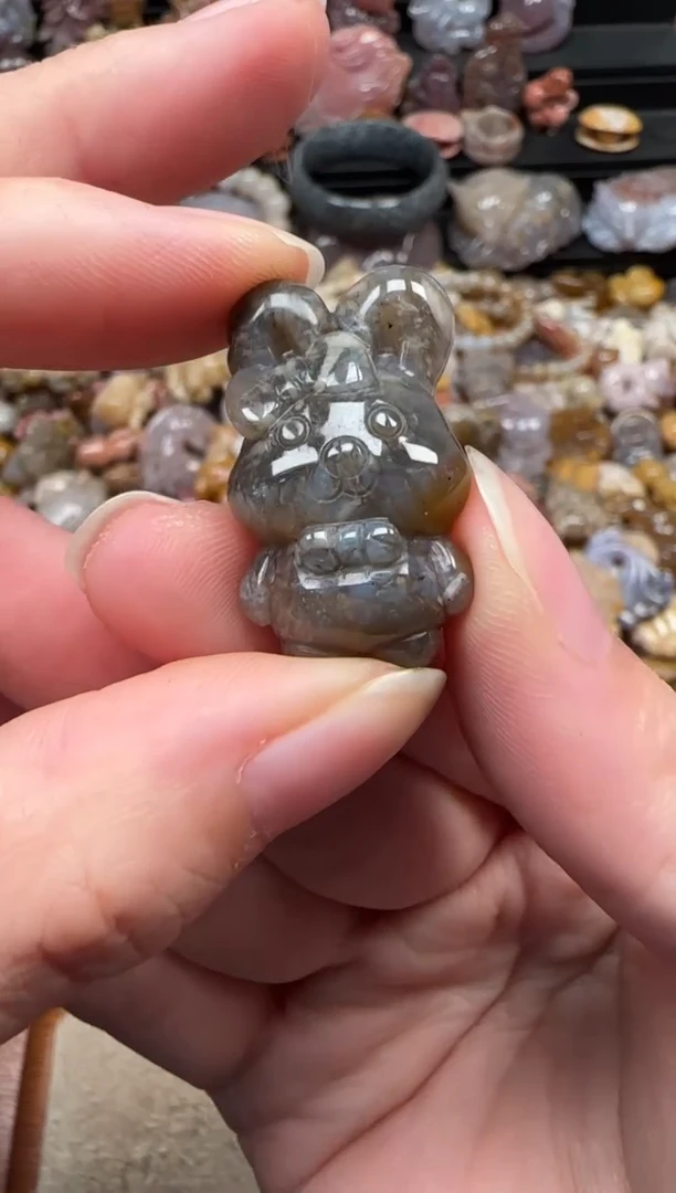 颈饰未镶嵌硅化珊瑚（珊瑚玉）313