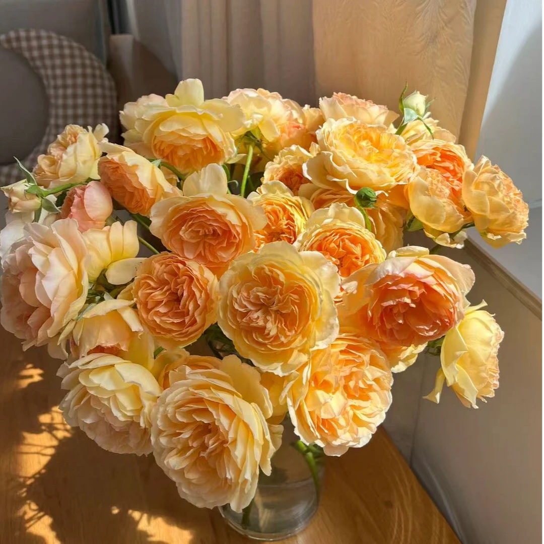 【一品花集】【月亮与花】多头玫瑰 云南昆明基地发货家用鲜花