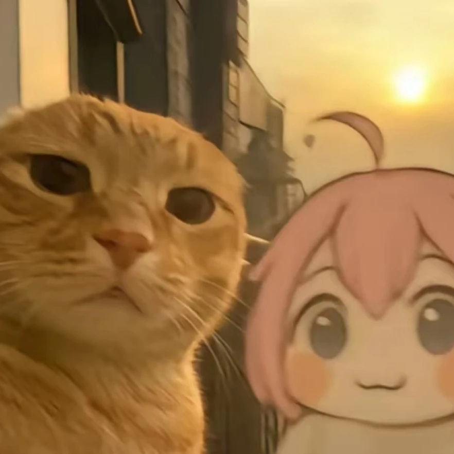 花花喵后宫正版二次元手办限量链接（no退no换，默认代开）