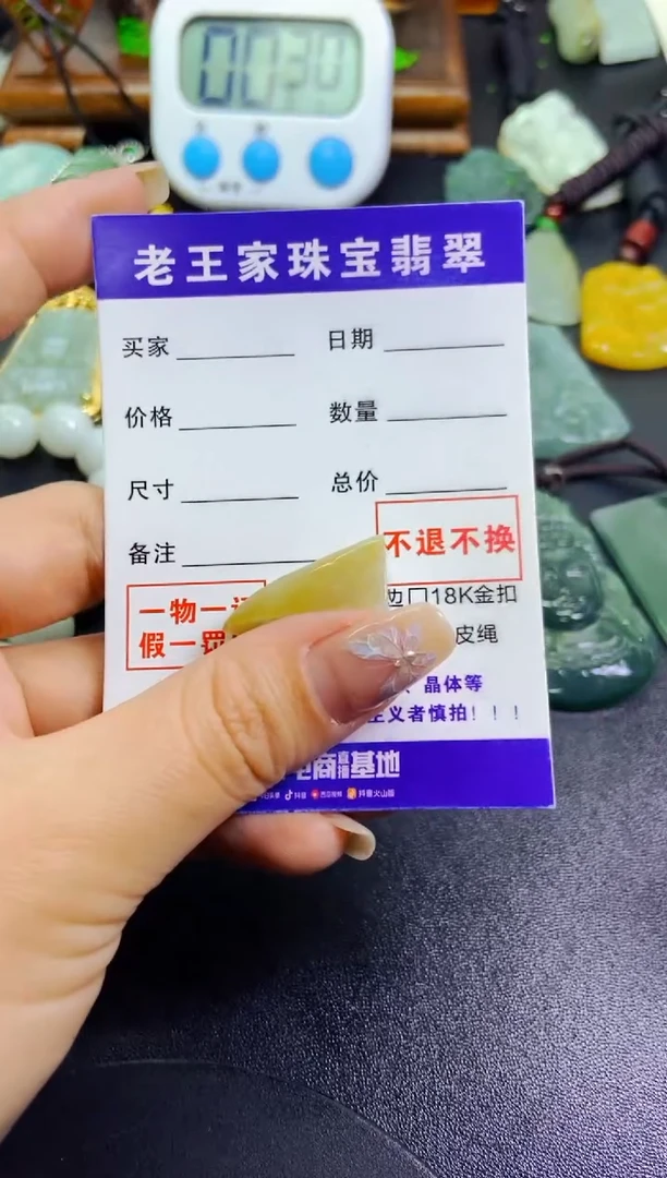 【闪购商品】翡翠颈饰未镶嵌料子