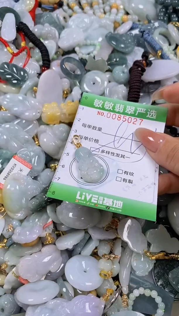 【闪购商品】翡翠颈饰未镶嵌闪购商品0085027多样性发其一