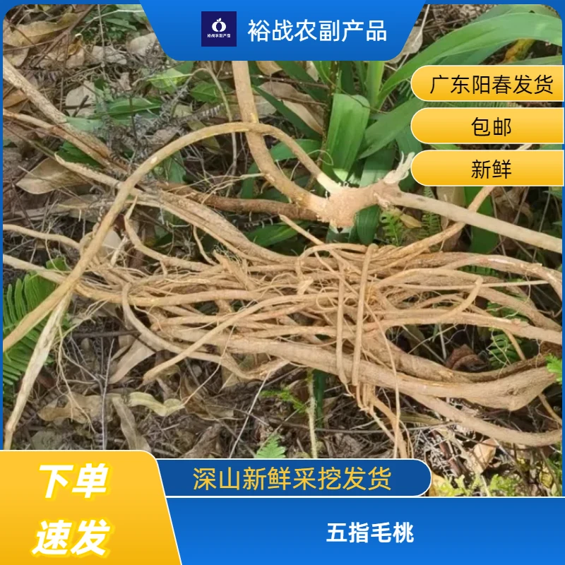 广东阳春深山新鲜粤北山货椰奶香五指毛桃煲汤泡水材料