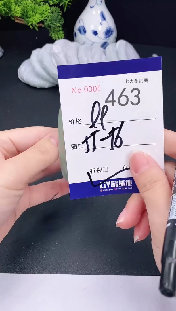 未镶嵌手镯翡翠463