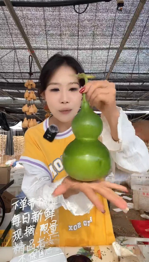 377天然葫芦摆件 一物一拍龙头不保售后