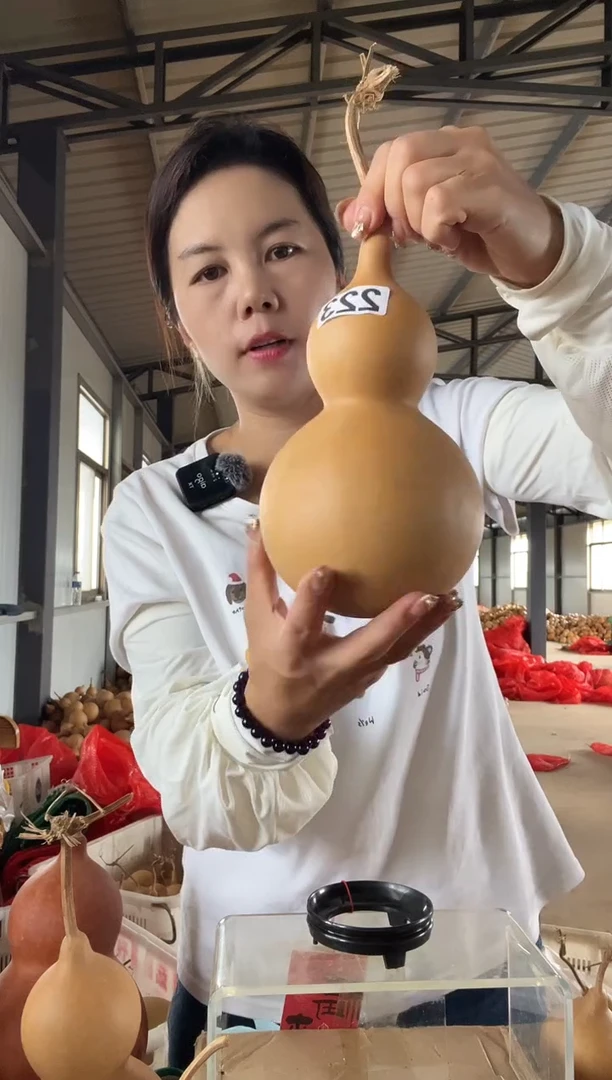 无花朵223天然葫芦摆件 一物一拍龙头不保售后