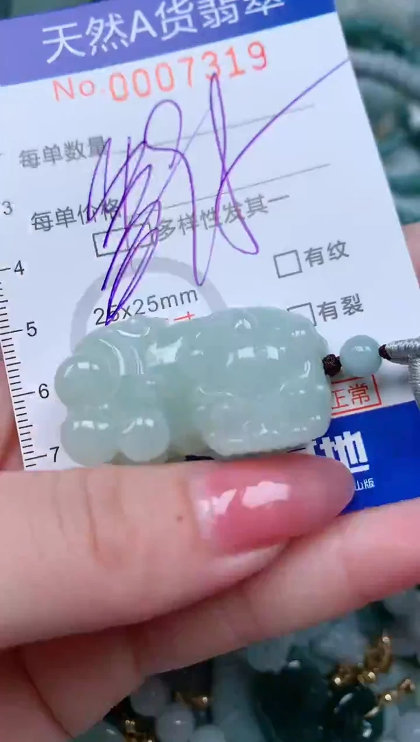 【闪购商品】翡翠颈饰未镶嵌00007319