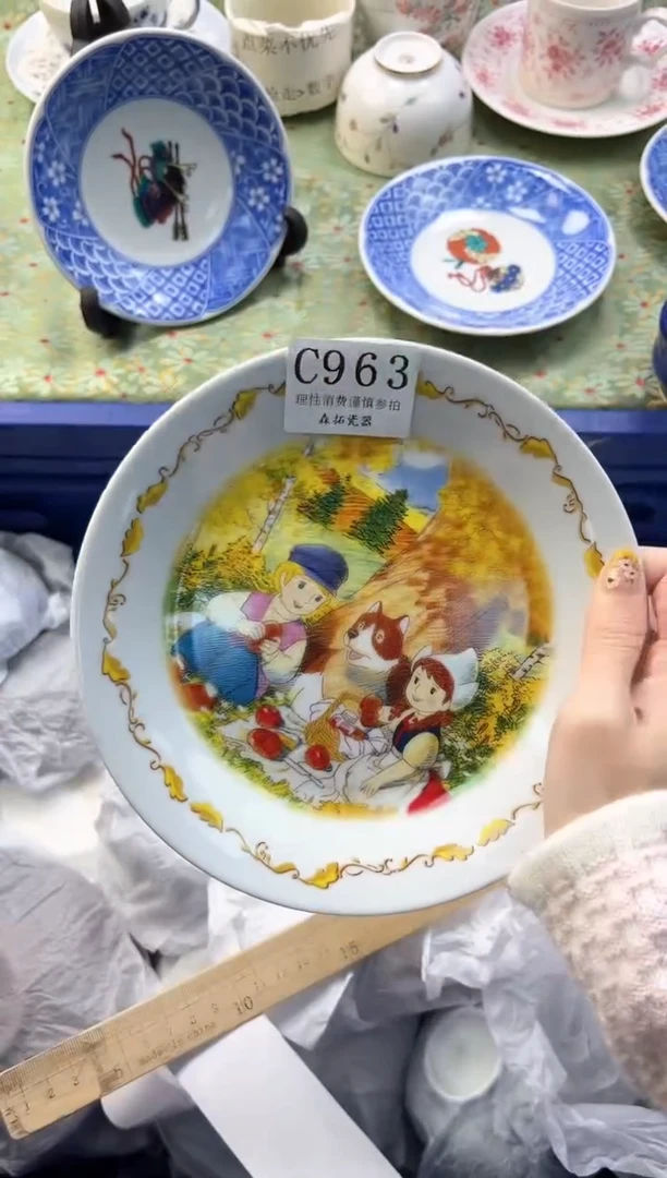 【闪购商品】瓷片          C963