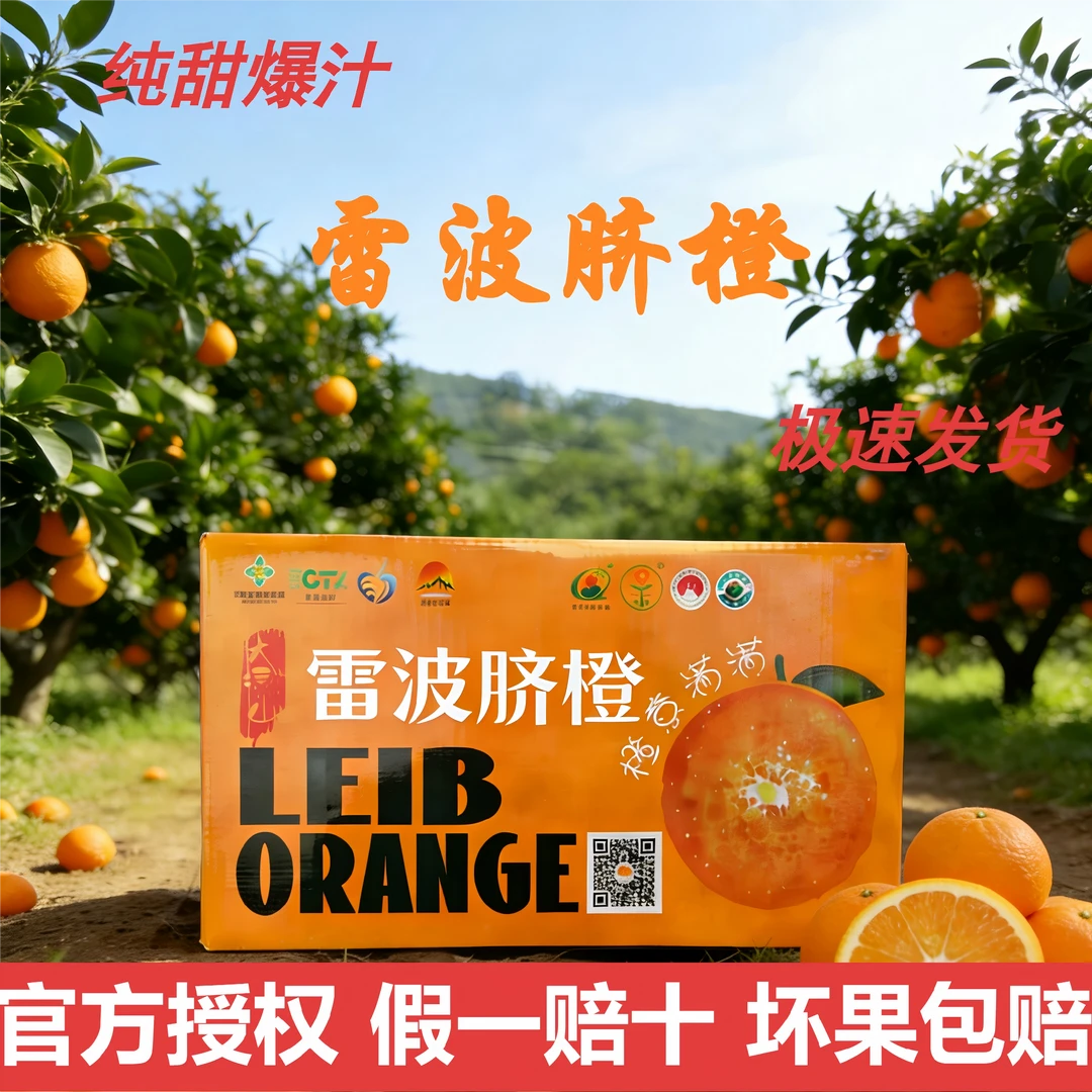 雷波脐橙正宗大凉山雷波脐橙皮薄肉厚多汁九甜一酸现摘现发纯天然