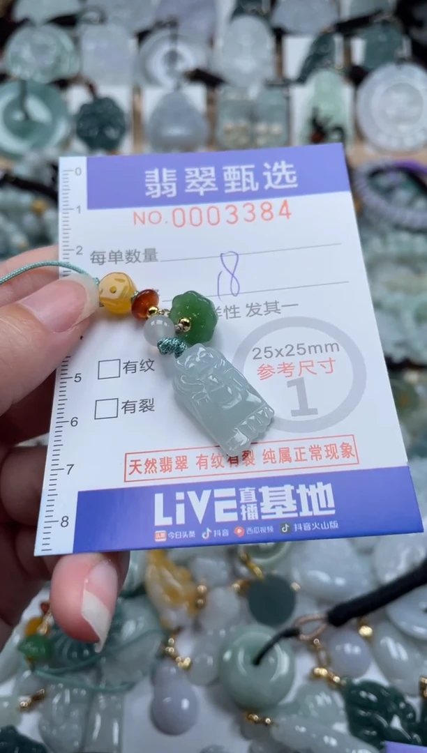 翡翠未镶嵌颈饰00..3384