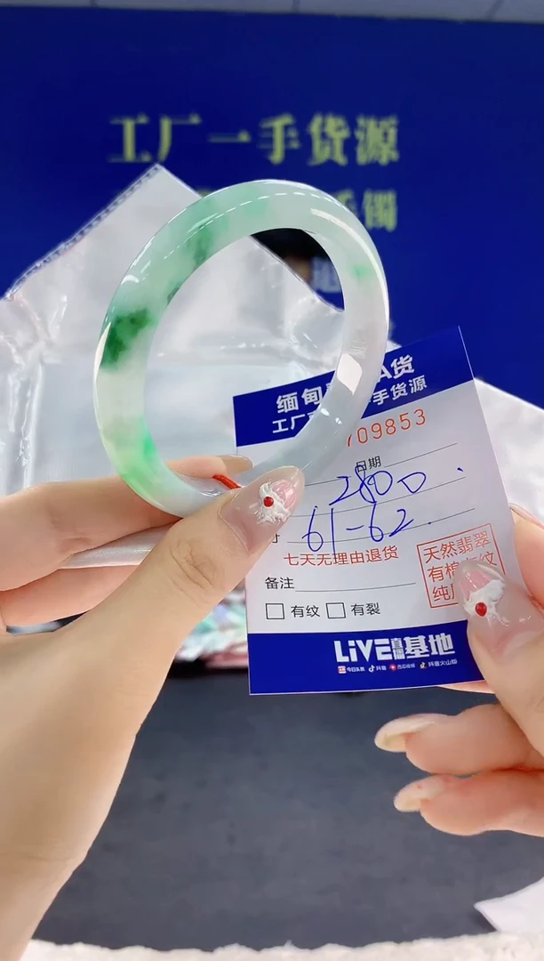 未镶嵌手镯翡翠53