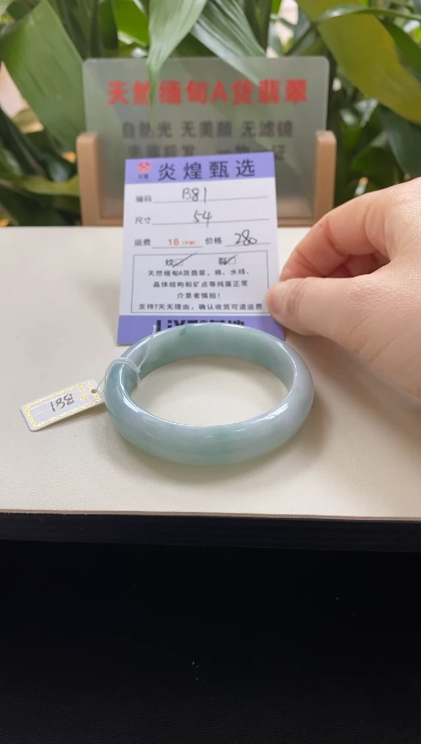 未镶嵌手镯翡翠圈口54编码b81