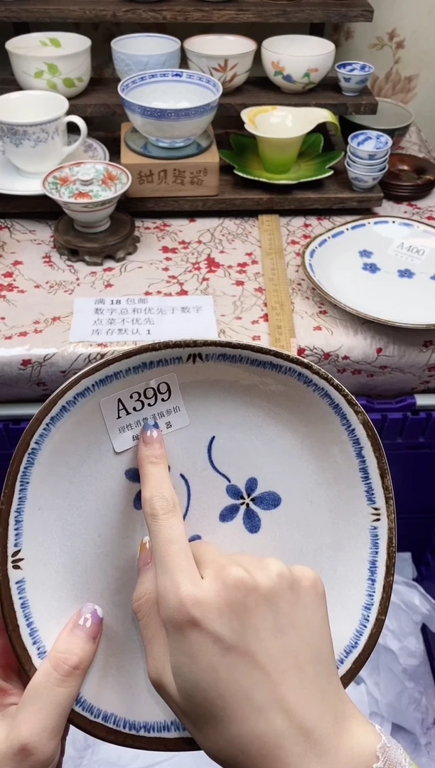 瓷片                A399
