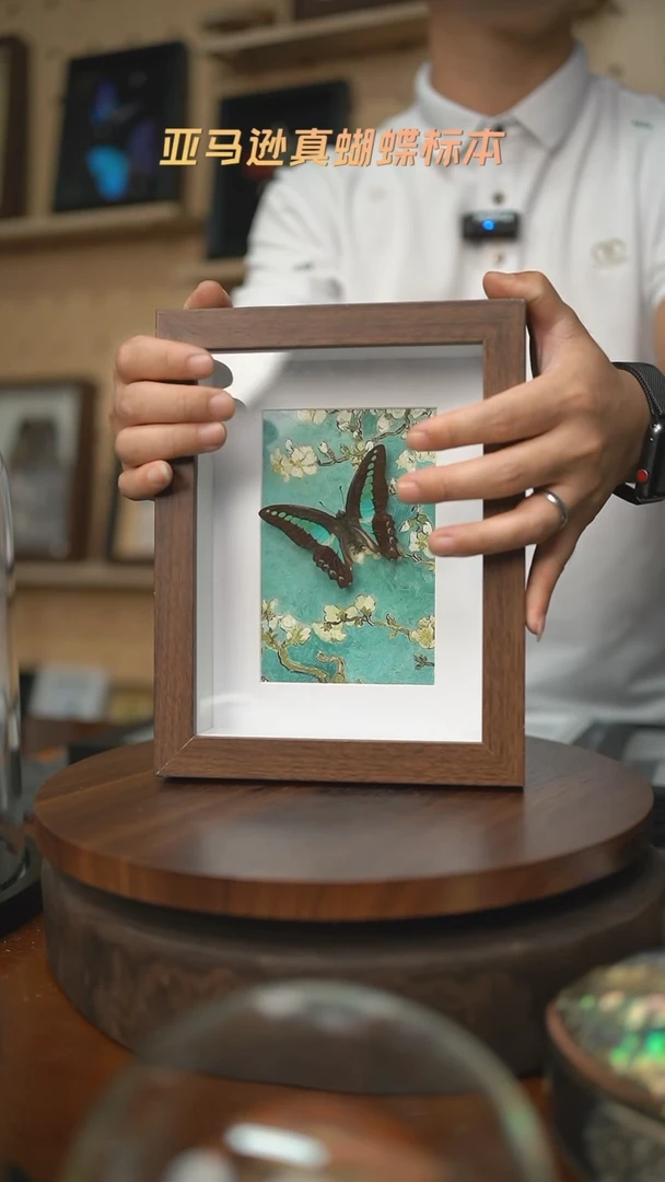 青凤蝶8寸复古框腊梅款