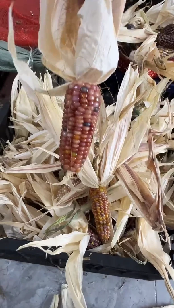 我****、哈哈哈红红火火恍恍惚惚
