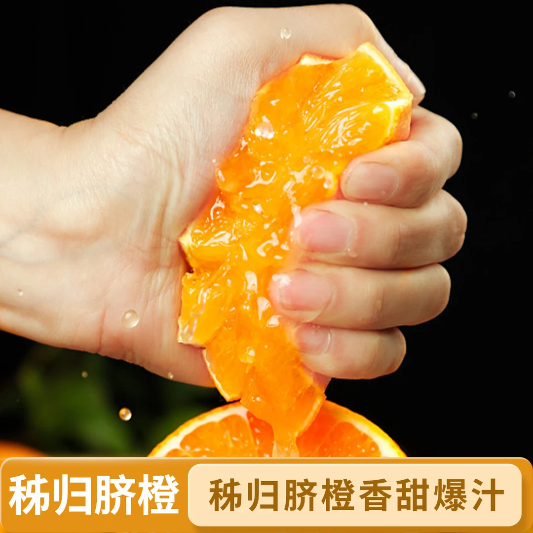 脐橙之乡秭归九月红蓝色橙子现摘现发 每箱4.7±0.1Kg脐橙香甜爆汁