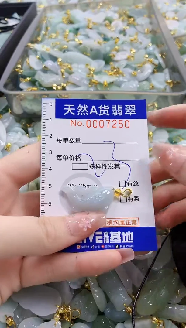 颈饰未镶嵌翡翠天然A货翡翠