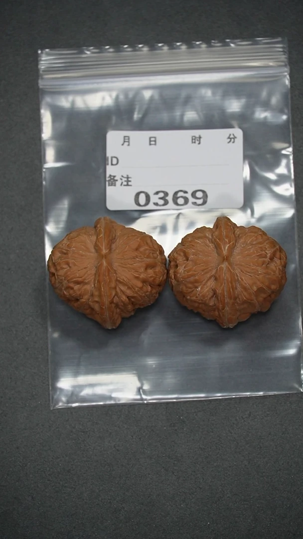 【闪购商品】文玩核桃把件42元宝