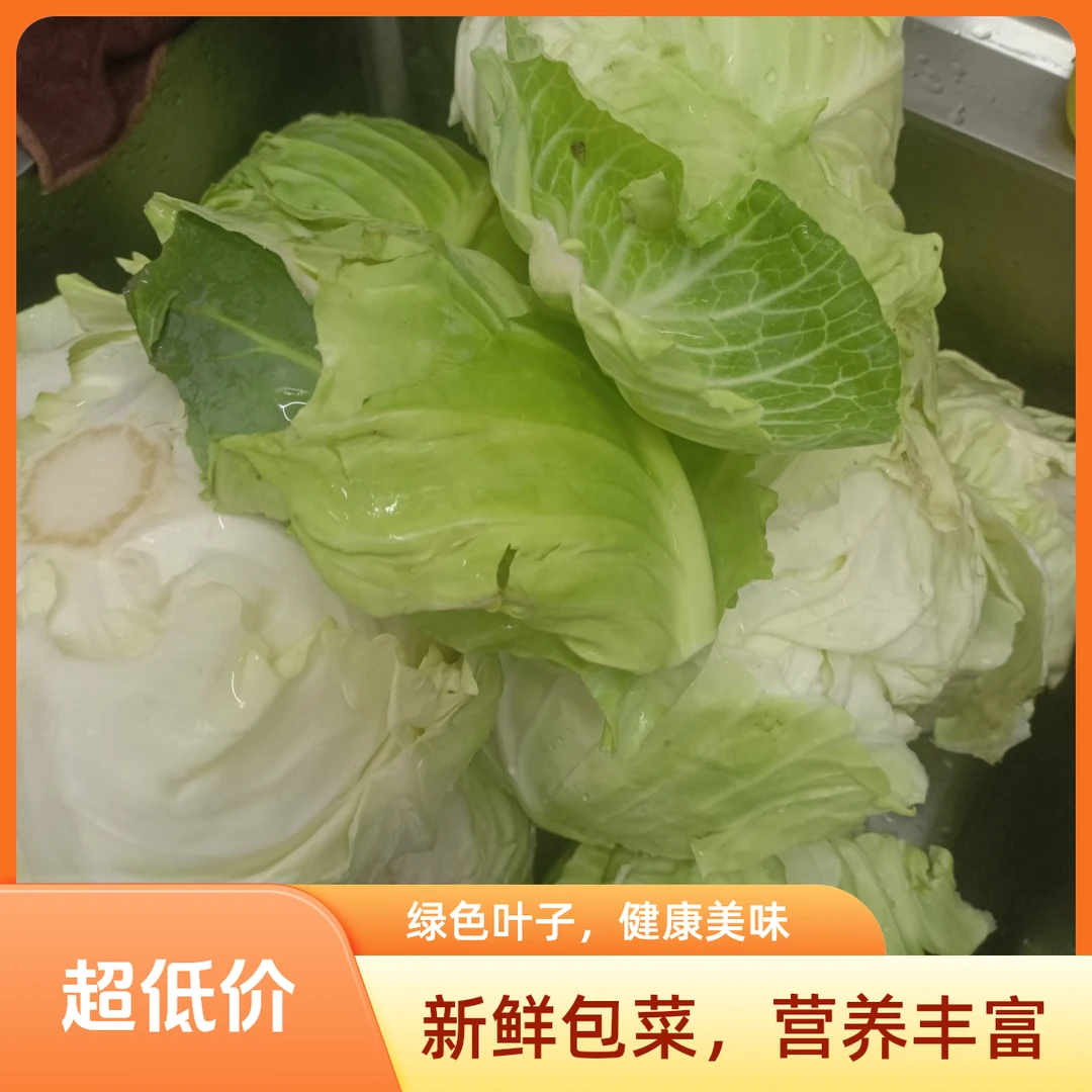 猪肉茴子白馅饺子生饺一斤