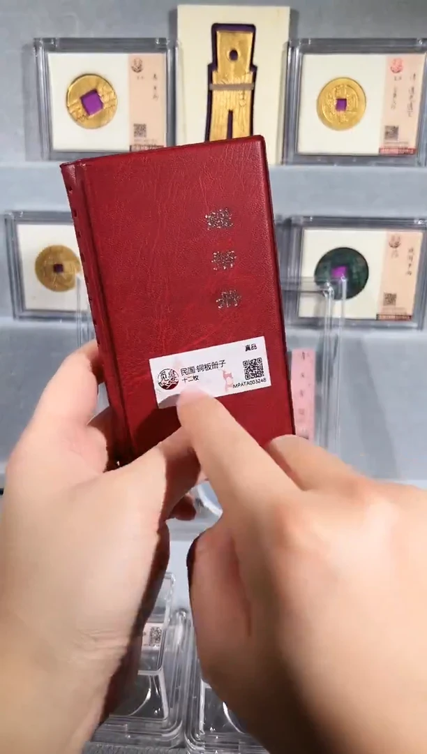 铜带评级 民国铜板钱币册 共12枚 同分择优发