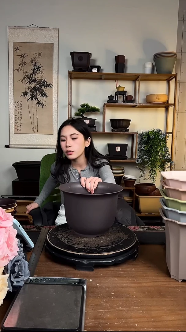 23金钟4只随机颜色