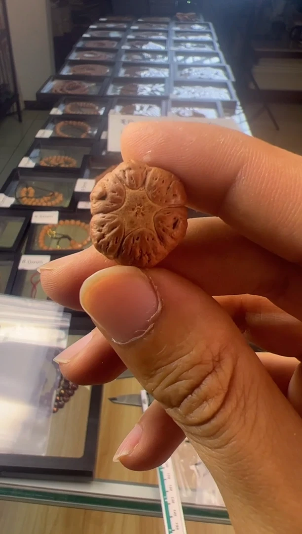 手串凤眼菩提3821国产六星三通