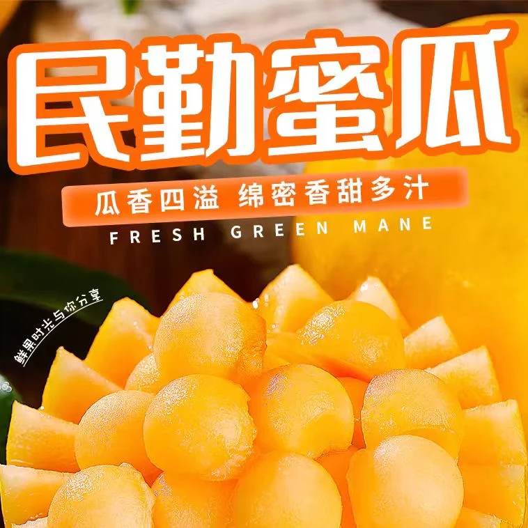 甘肃民勤蜜瓜香甜爽口多汁皮薄肉厚坏果包赔产地直发 新鲜