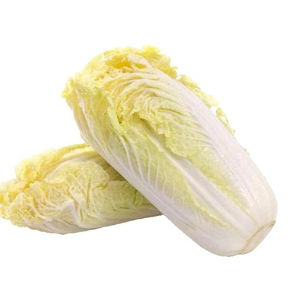 白菜 约1800g02254