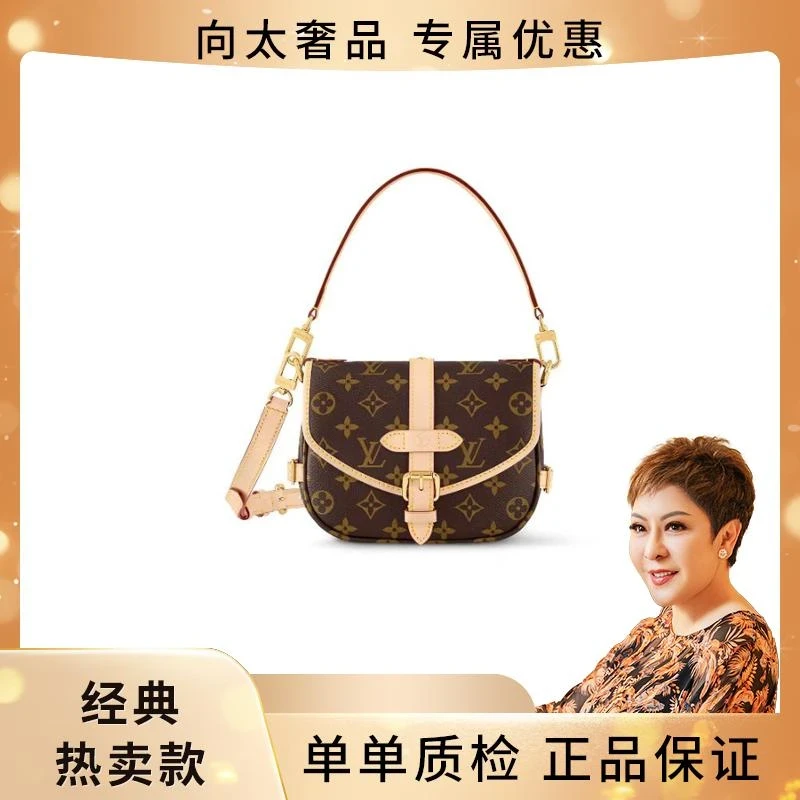 未使用 LouisVuitton/路易威登 老花双子星单肩包