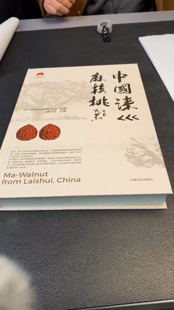 吊坠文玩核桃文玩核桃讲解